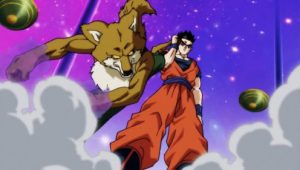 Dragon Ball Super Imperdoável, Son Goku! Toppo, o Guerreiro da